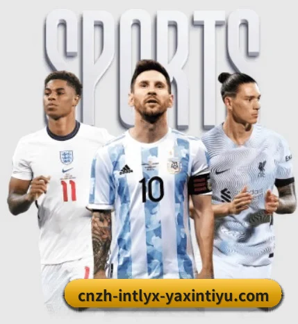 五大服务分区,信息按项目分类